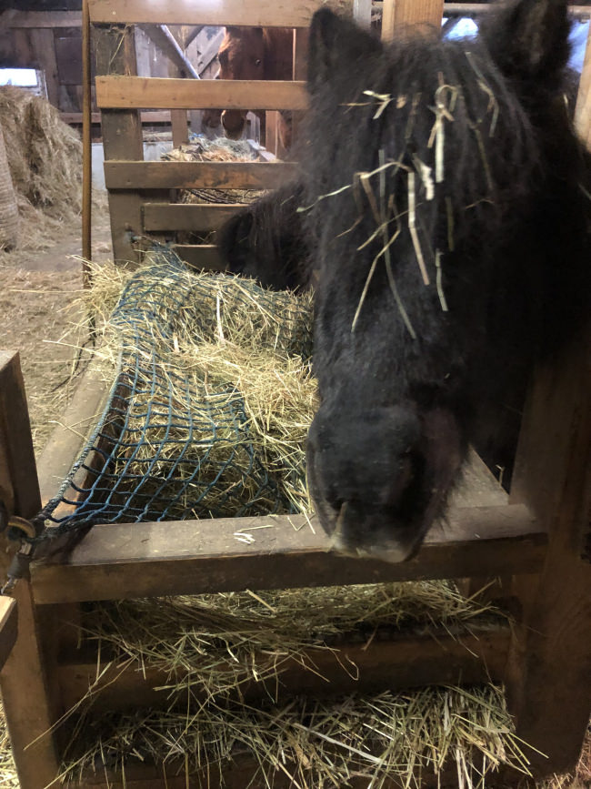 Kundenfoto von Net Made to Measure (by the m²) 5.0/100 mm 