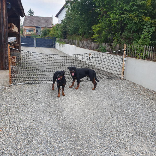 Kundenfoto von Auffangnetz DIN EN 1263-1 per m² (nach Maß) 