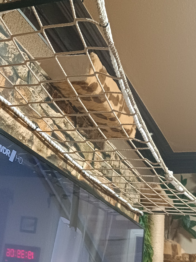 Kundenfoto von Bauschutznetz DIN EN 1263-1 per m² (nach Maß) 