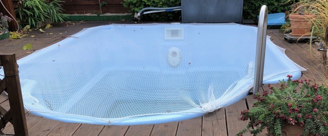 Kundenfoto von Leaf Net by the m² (Custom-Made) 