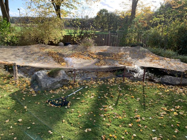 Kundenfoto von Leaf Net by the m² (Custom-Made) 