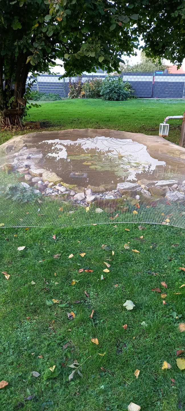 Kundenfoto von Leaf Net by the m² (Custom-Made) 