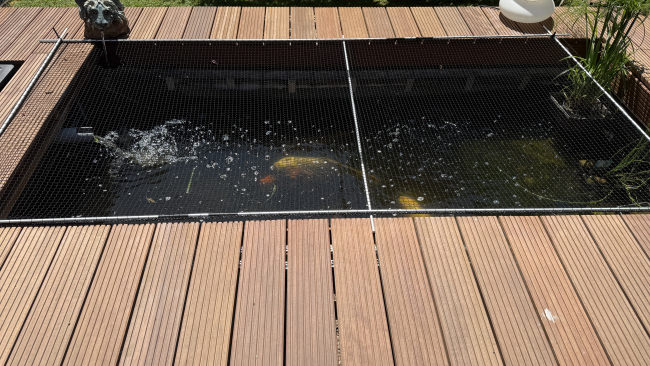 Kundenfoto von Leaf Net by the m² (Custom-Made) 