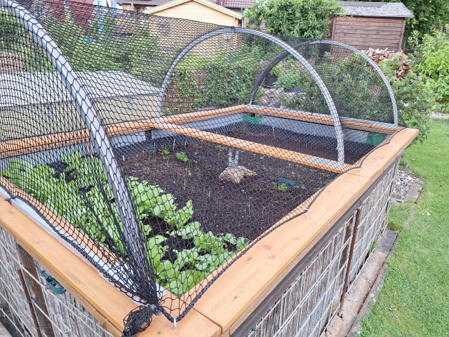 Kundenfoto von Close-meshed Leaf Netting by the m² (Made to Measure) 