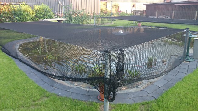 Kundenfoto von Custom-Made Foliage Protection Net against leaves 