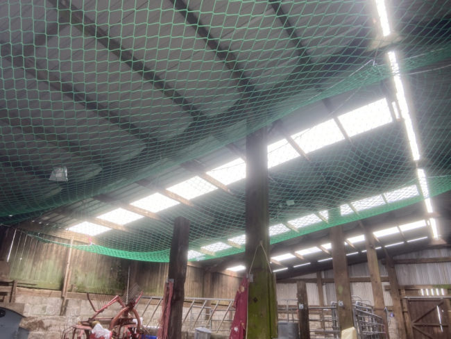 Kundenfoto von Auffangnetz 5,00 x 10,00 m (rhombische Maschenstellung) 