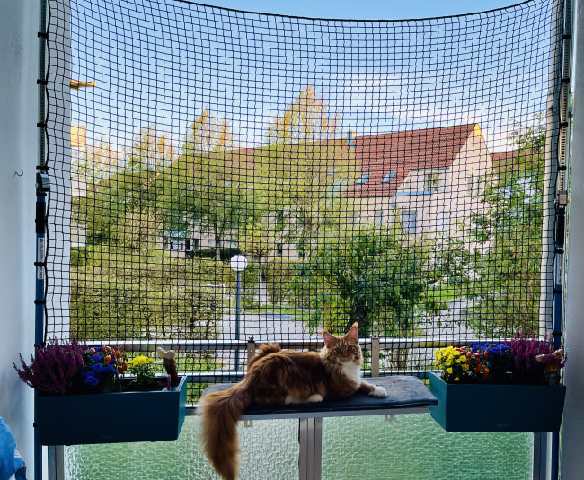 Kundenfoto von Extra Strong Cat Safety Net, Custom-Made 