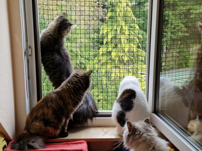 Kundenfoto von Extra Strong Cat Safety Net, Custom-Made 