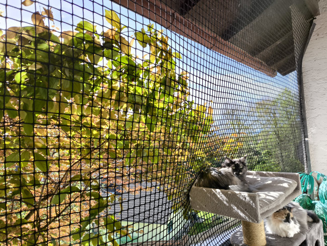 Kundenfoto von Extra Strong Cat Safety Net, Custom-Made 