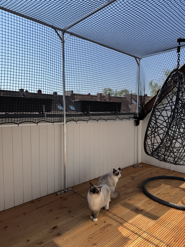 Kundenfoto von Extra Strong Cat Safety Net, Custom-Made 