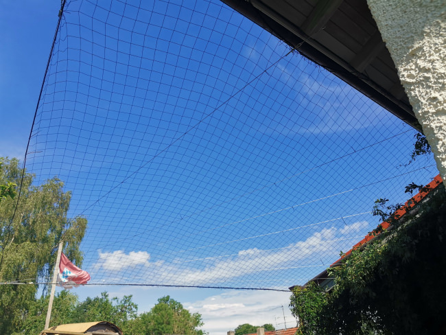 Kundenfoto von Climbing Plant Net by the m² (Trellis Netting), Black 