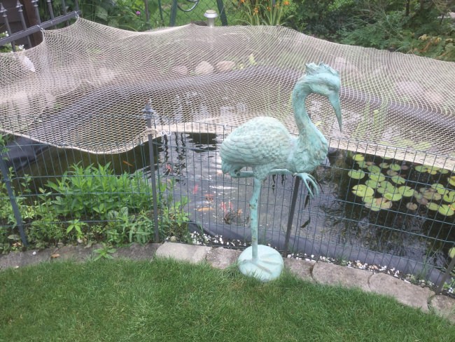 Kundenfoto von Close-Meshed Bird Net with Border (Made to Measure) 