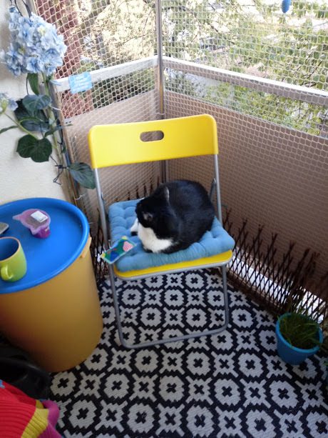 Kundenfoto von Schutznetz nach Maß (per m²) 1,0/20 mm 