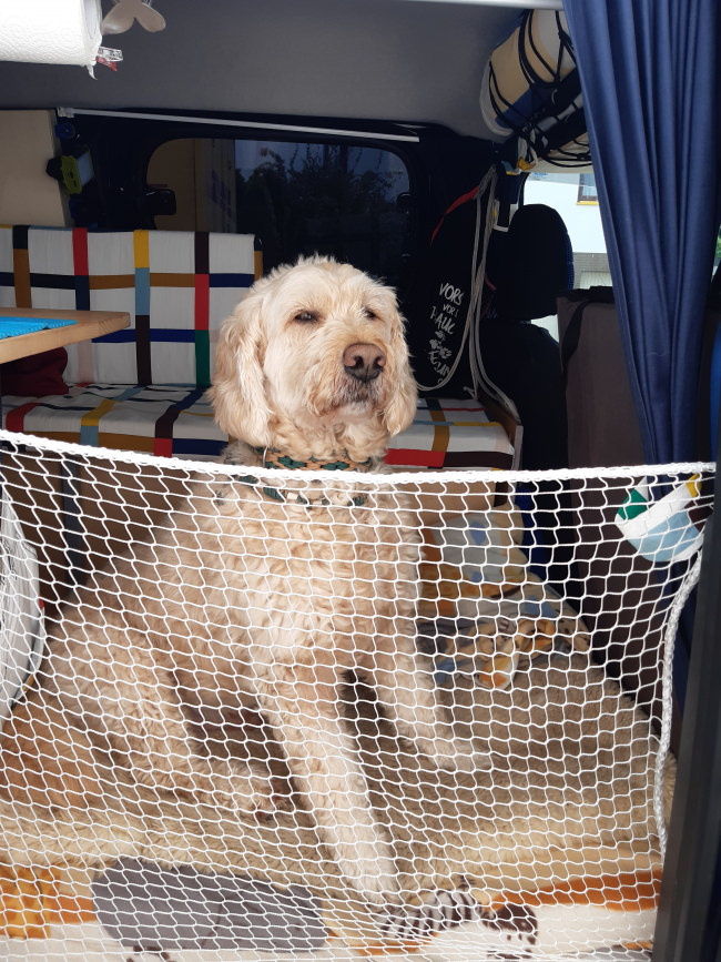 Kundenfoto von Schutznetz nach Maß (per m²) 1,0/20 mm 