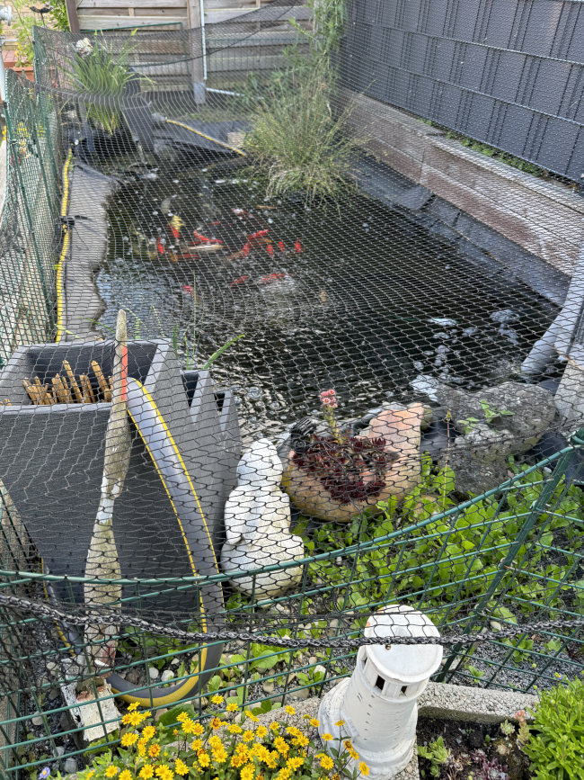 Kundenfoto von Schutznetz nach Maß (per m²) 1,0/20 mm 