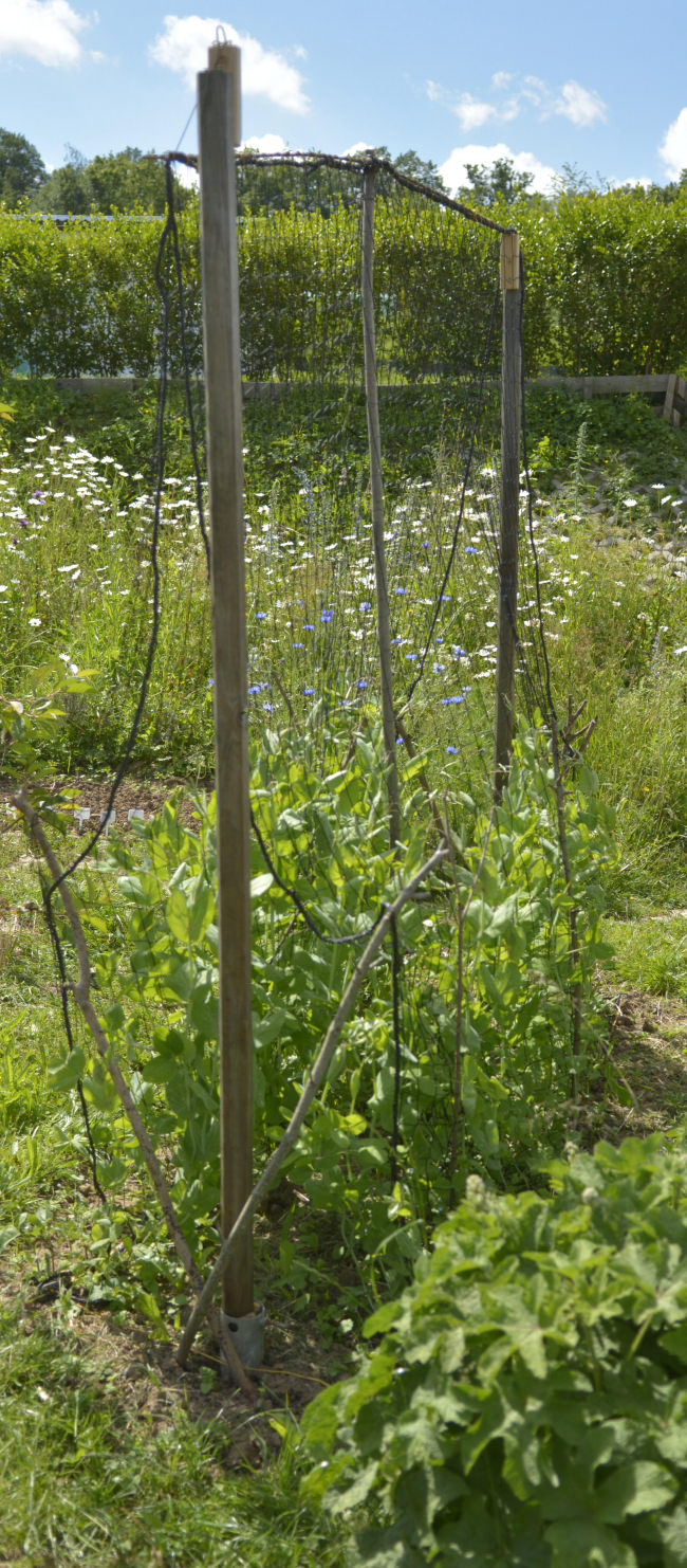 Kundenfoto von Climbing Plant Net by square meter (Custom-Made), Black 