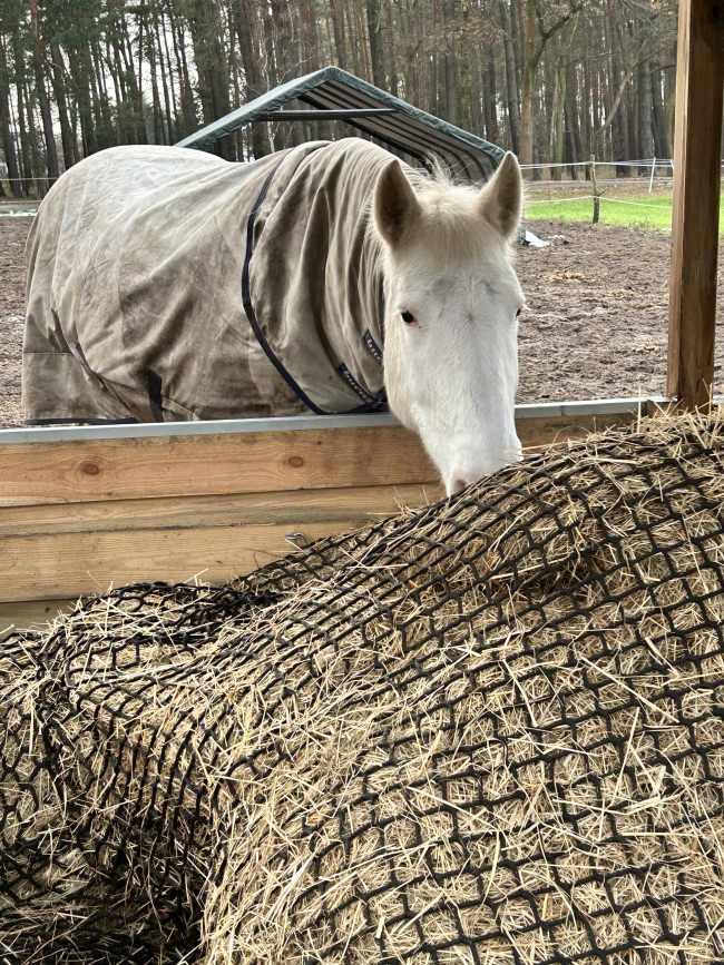 Kundenfoto von Hay Feeding Net by the m² (Custom-Made) 