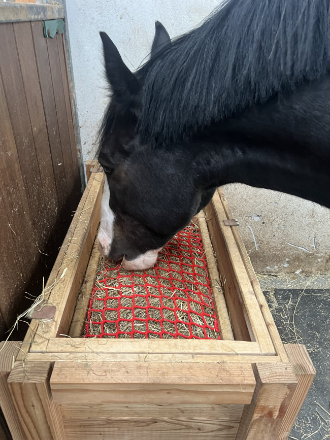 Kundenfoto von Hay Feeding Net by the m² (Custom-Made) 
