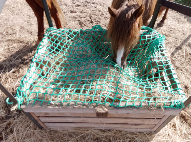 Kundenfoto von Hay Feeding Net by the m² (Custom-Made) 