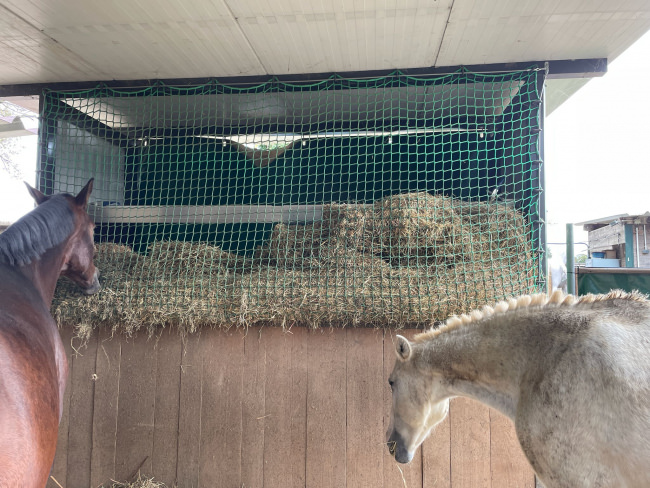 Kundenfoto von Hay Feeding Net by the m² (Custom-Made) 