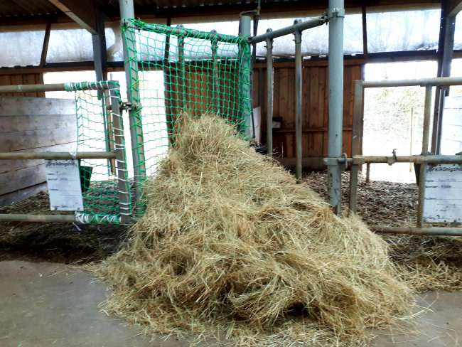 Kundenfoto von Hay Feeding Net by the m² (Custom-Made) 