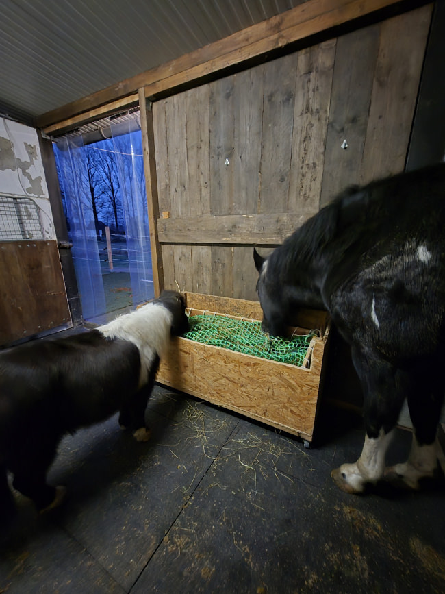 Kundenfoto von Hayrack Net by the m² (Made to Measure), Green 