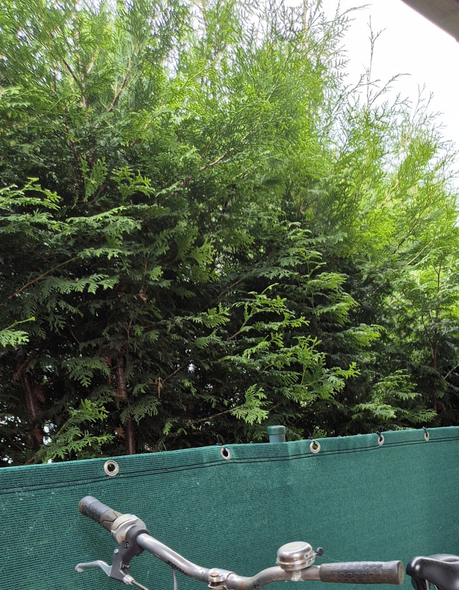 Kundenfoto von Cable Strap 7.8 x 300 mm 