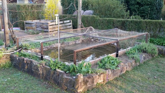 Kundenfoto von Taubenschutznetz per m² (nach Maß) 