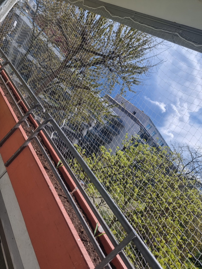 Kundenfoto von Taubenschutznetz per m² (nach Maß) 