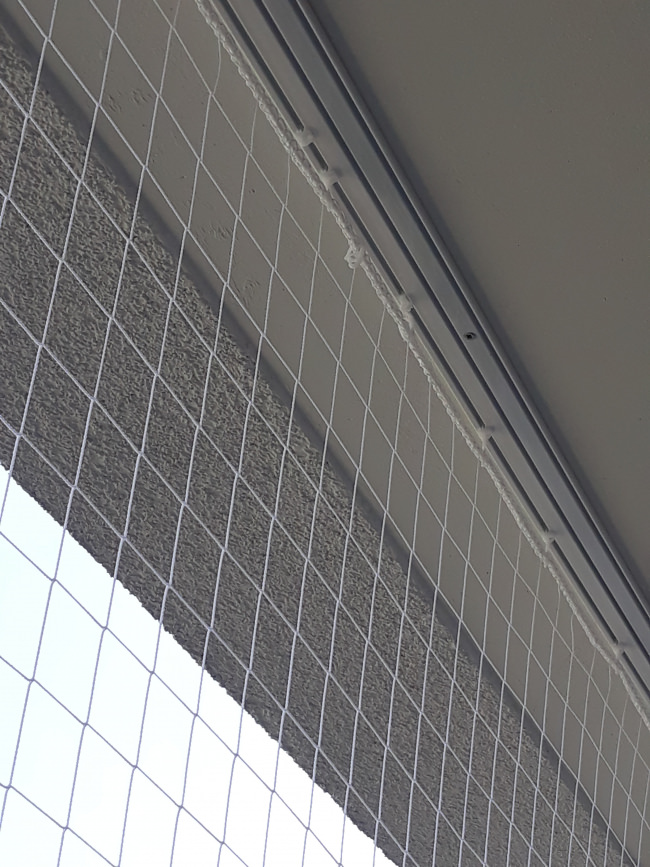 Kundenfoto von Taubenschutznetz per m² (nach Maß) 