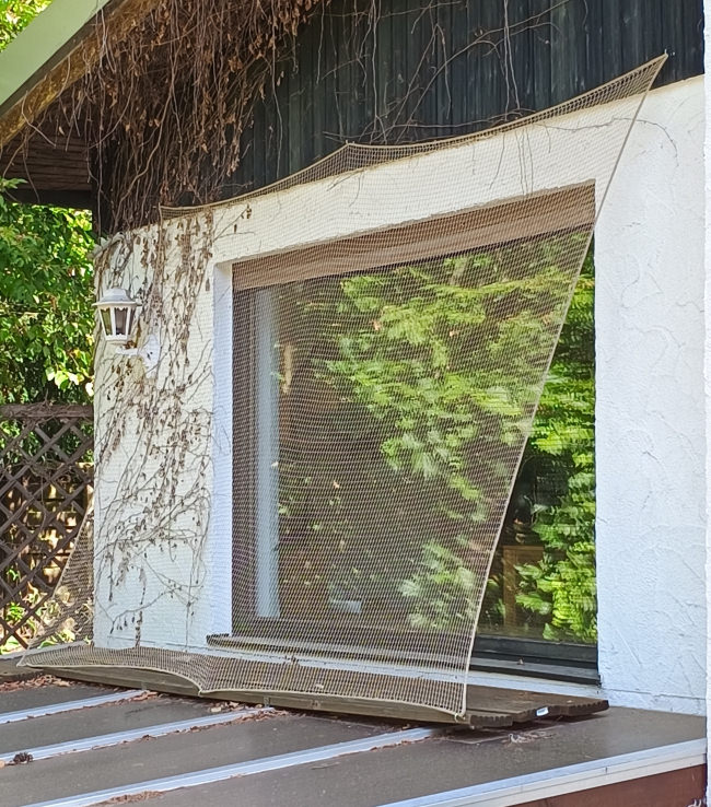 Kundenfoto von Close-Meshed Bird Net with Border (Made to Measure) 