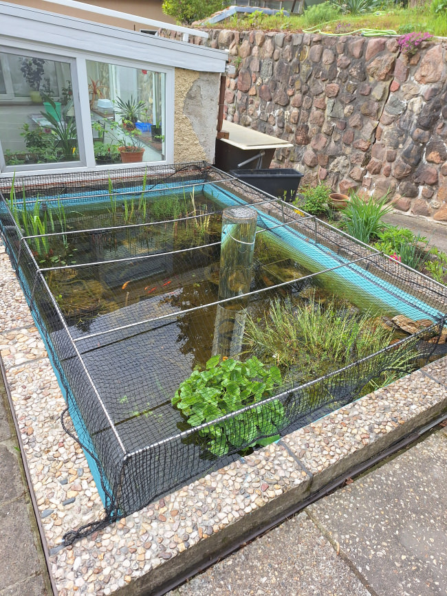 Kundenfoto von Bird Protection Net with Border, by the m² (Custom-Made) 