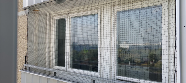 Kundenfoto von Bird Protection Net with Border, by the m² (Custom-Made) 