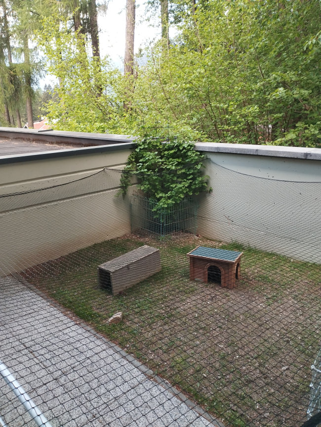 Kundenfoto von Bird Protection Net with Border, by the m² (Custom-Made) 