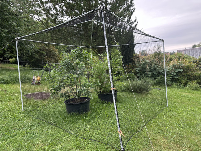 Kundenfoto von Bird Protection Net with Border, by the m² (Custom-Made) 