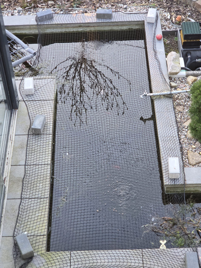 Kundenfoto von Poultry Net for chicken pens, by the m² (Made to Measure) 