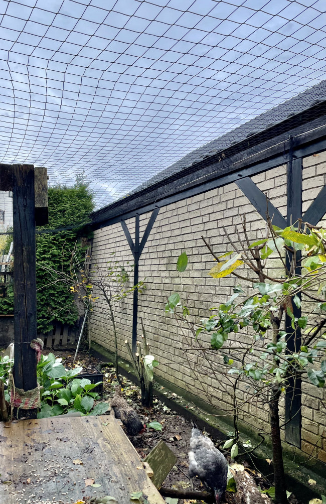 Kundenfoto von Greifvogel-Schutznetz für Hühnergehege nach Maß 