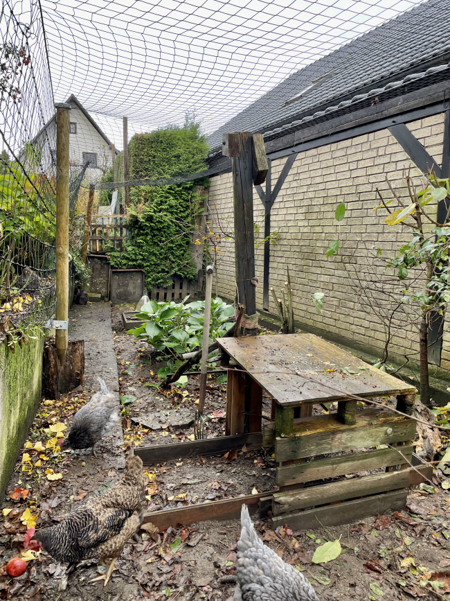 Kundenfoto von Greifvogel-Schutznetz für Hühnergehege nach Maß 