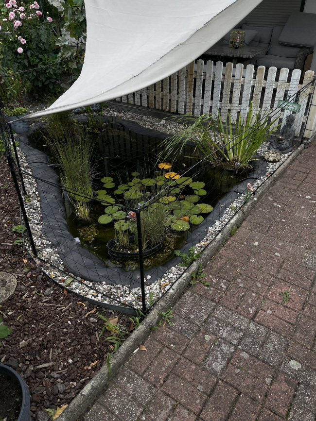 Kundenfoto von Aviary Net by the m² (Custom-Made), black 