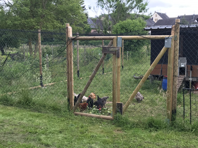 Kundenfoto von Aviary Net by the m² (Custom-Made), black 