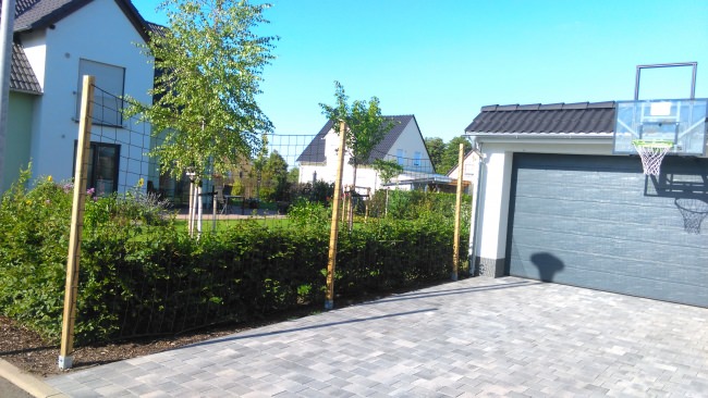 Kundenfoto von Basketballfangnetz per m² (nach Maß) 