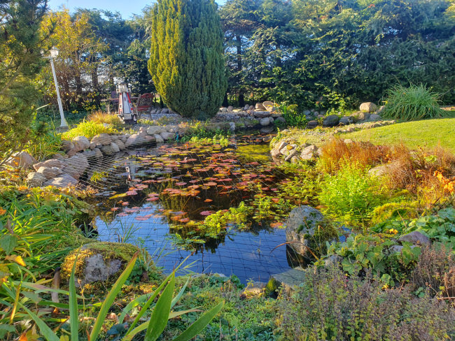 Kundenfoto von Heron Guard Net by the m² (Custom-Made), black 