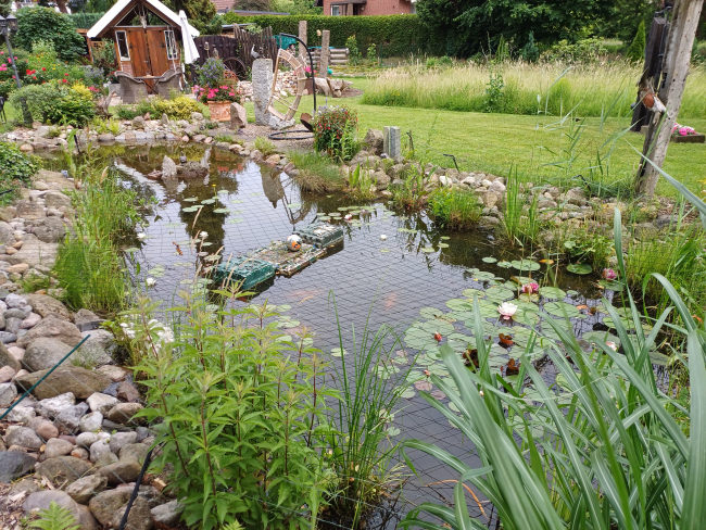 Kundenfoto von Heron Guard Net by the m² (Custom-Made), black 