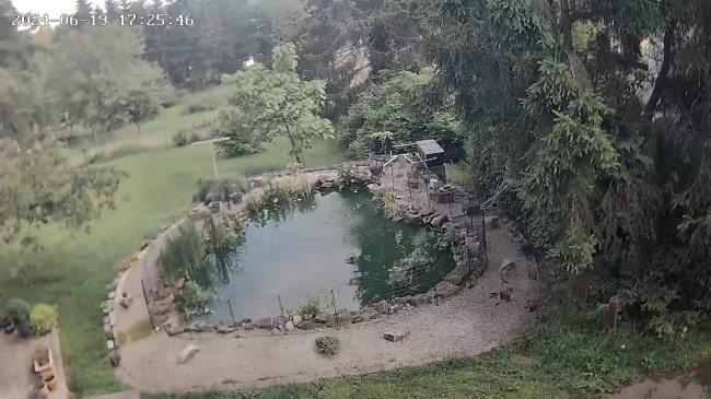 Kundenfoto von Heron Guard Net by the m² (Custom-Made), black 