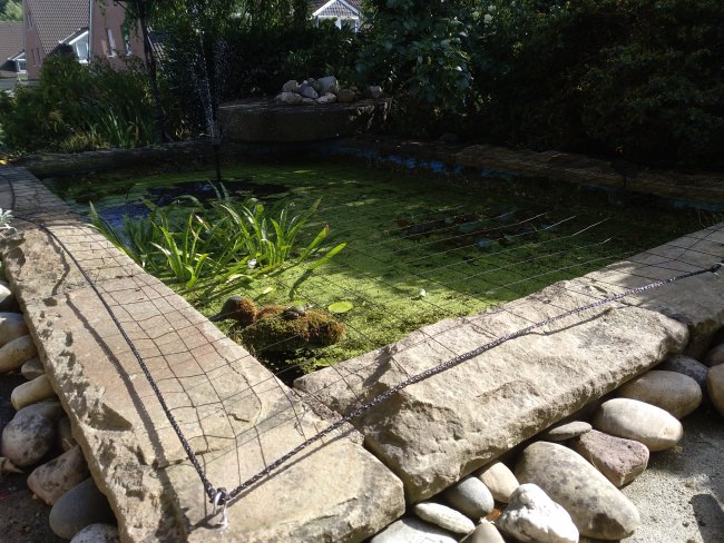 Kundenfoto von Heron Protection Net by the m² (Custom-Made), black 