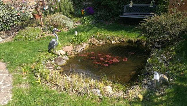 Kundenfoto von Heron Protection Net by the m² (Custom-Made), black 