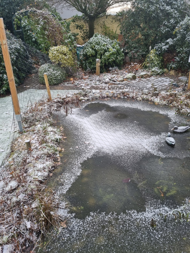 Kundenfoto von Heron Protection Net by the m² (Custom-Made), black 