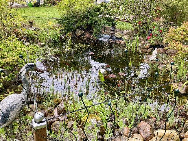 Kundenfoto von Heron Protection Net by the m² (Custom-Made), black 