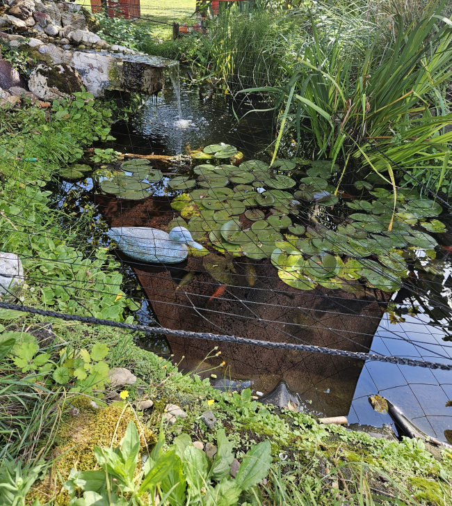 Kundenfoto von Heron Protection Net by the m² (Custom-Made), black 