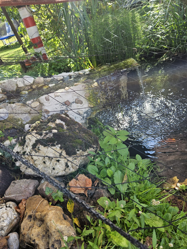 Kundenfoto von Heron Protection Net by the m² (Custom-Made), black 